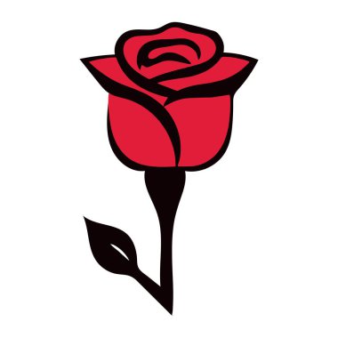 Çiçek açan kırmızı yapraklı gül çiçeği. Çiçek, düğün buketi ve sevgililer günü kartı için.