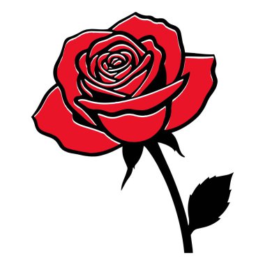 Çiçek açan kırmızı yapraklı gül çiçeği. Çiçek, düğün buketi ve sevgililer günü kartı için.