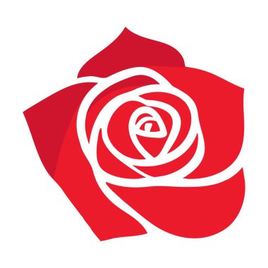 Çiçek açan kırmızı yapraklı gül çiçeği. Çiçek, düğün buketi ve sevgililer günü kartı için.