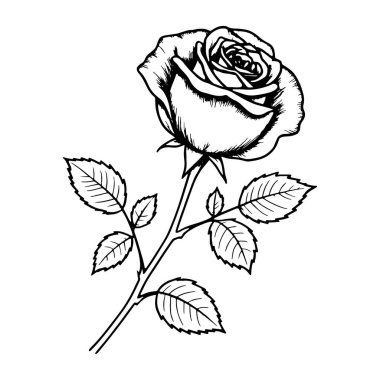 Çizgi yapraklarla yükseldi. el çizimi