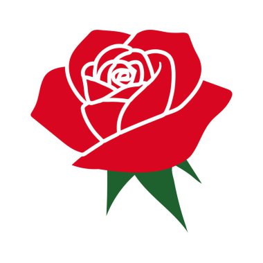 Çiçek açan kırmızı yapraklı gül çiçeği. Çiçek, düğün buketi ve sevgililer günü kartı için.