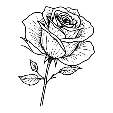 Çizgi yapraklarla yükseldi. el çizimi