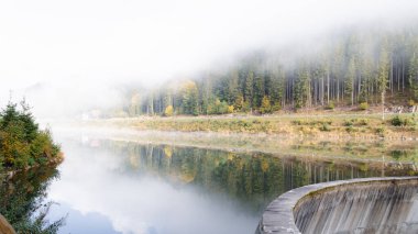 Nebel, Schwarzwald, Deutschland 'a bakın.