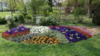 Gengenbach im Schwarzwald 'daki Blumenpancar