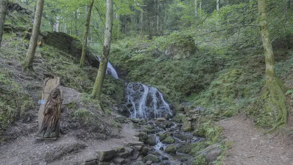 Schönerer Blick Auf Einen Wasserfall Schwarzwald — Stockfoto