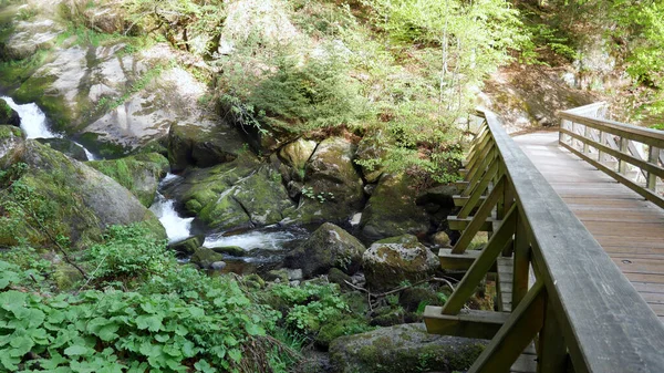 Brcke Ber Den Triberger Wasserfall — Foto Stock