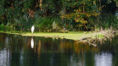 Yürüyüş parkurundan güzel bir manzara
