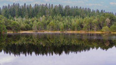 Harika bir yansıması olan bir göl.