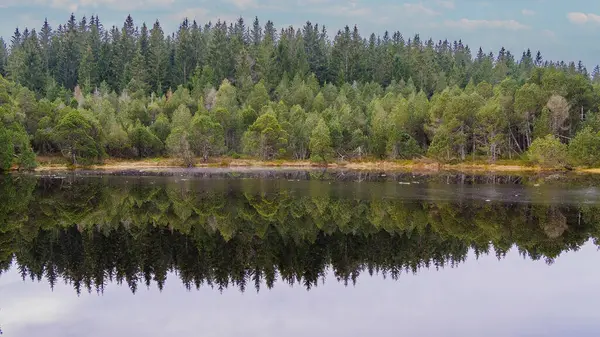 Harika bir yansıması olan bir göl.