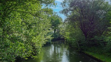 Nehrin doğadaki güzel manzarası