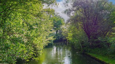 Güzel manzara yaşlı Ren koluna