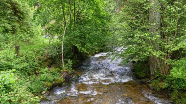 Kara Orman 'da Akıntı