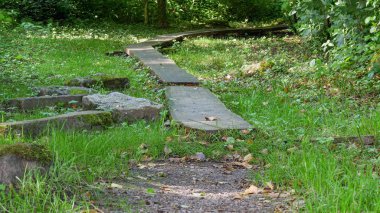 Ormandaki eski ahşap patika.