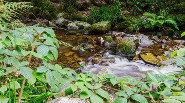 Kara Orman 'daki şelaleye bir bak.