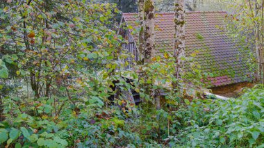 Sonbahar ormanında saklı değirmen 