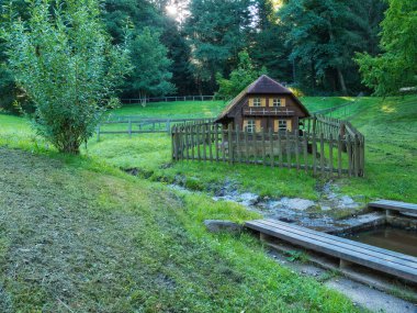 Ormandaki eski ahşap ev