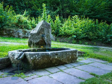Bu çeşme Kara Orman 'da bulundu.