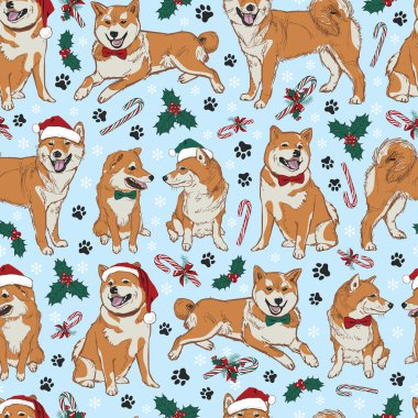 Vector blue shiba inu Christmas köpekleri Noel Baba şapkaları, çobanpüskülleri ve şeker kamışlarıyla kusursuz desenli. Kumaş, hatıra defteri ve duvar kağıdı projeleri için mükemmel. Yüzey deseni tasarımı.