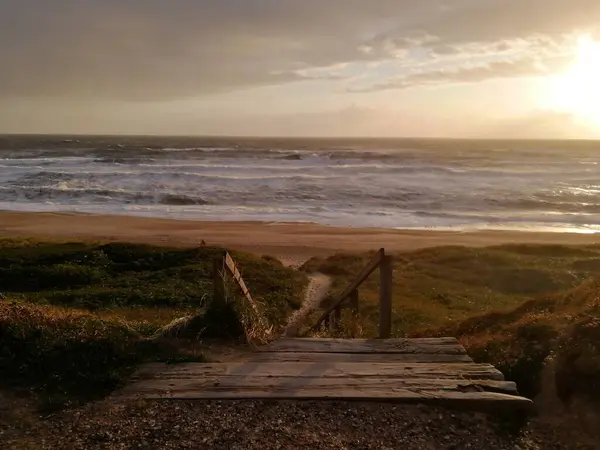 Anlar. Kamera Sony a6000