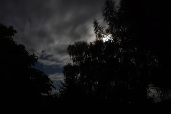 Zkouka kamery v noci