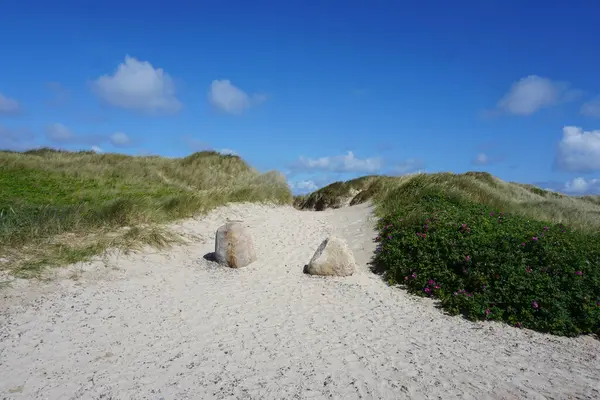 Letni vylet do Danska