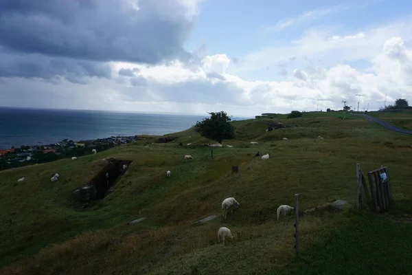 Letni vylet do Danska