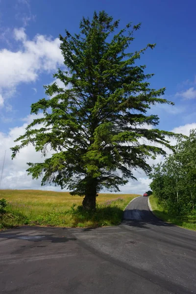 Letni i jarni prirodni motivasyon 