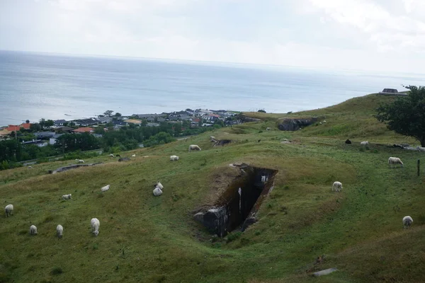 Danimarka 'ya yaz gezisi