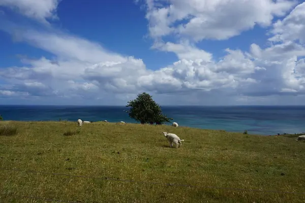 Letni vylet do Danska