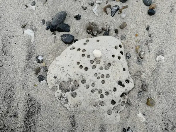 Letni vylet do Danska