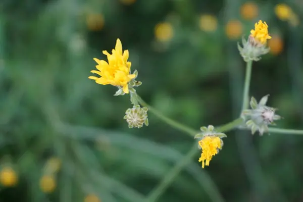 Letni i jarni prirodni motivasyon 