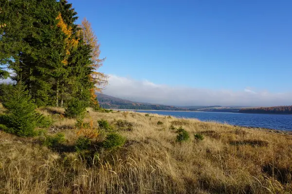 Priroda vedle vodni nadrze