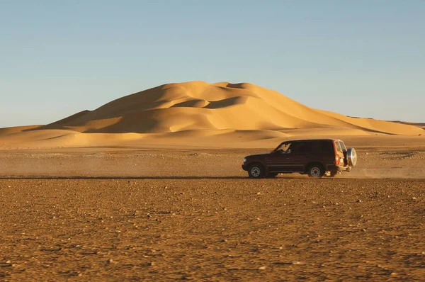 Libya Çölü 4x4 aracı
