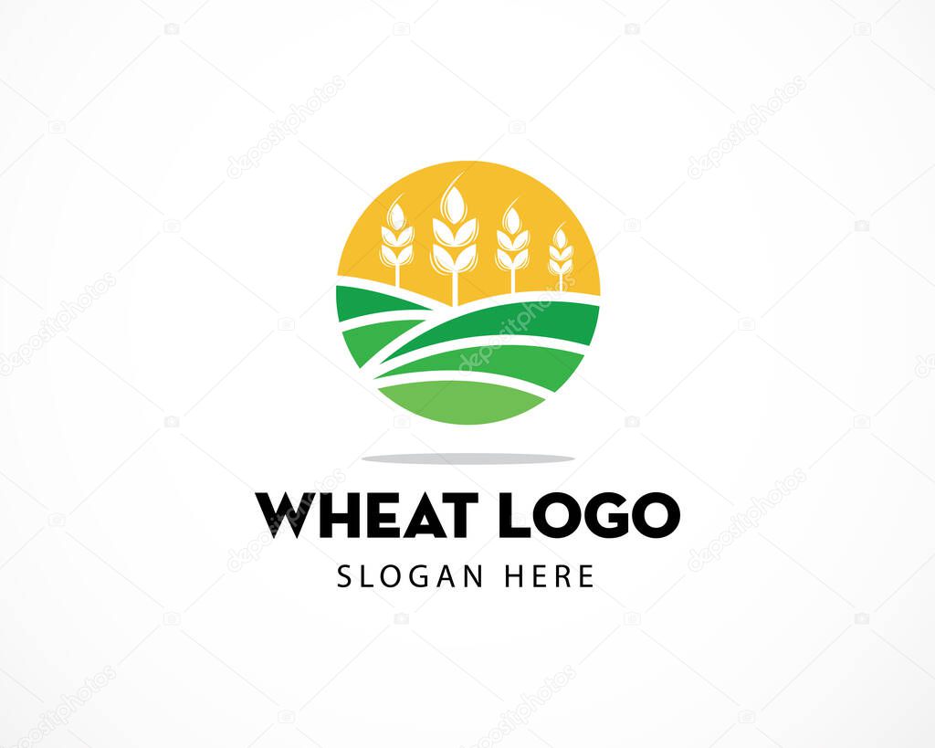 Agriculture Wheat Logo Template vector icon design