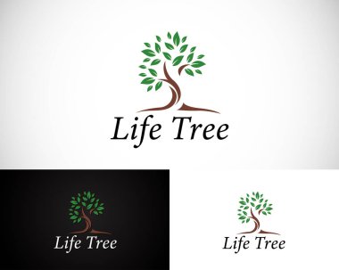 Yaşam ağacı logosu yenilik tasarımı doğa meşesi ağacı
