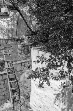 Avlu bahçesinin duvarında bir nar ağacı büyür. Meyve toplamak için ahşap bir merdiven kullanılır. Akdeniz avlusunu çevreleyen boyanmış beyaz duvarlar.