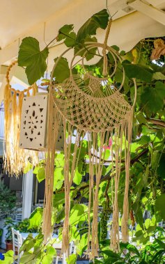 Dekoratif ip makrome, rafya yeşil yapraklara karşı şık bir asma sergi..   