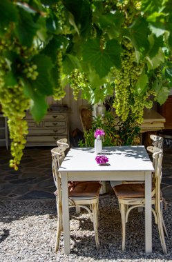 Asma bir gölgelik altında Yunan restoran masaları insanların oturması için gölgeli alanlar sağlıyor. Alfresco yemek mutfağı.