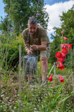 Çiçek bahçesini sulama kabıyla sulayan bir adam. Su spreyine odaklan. Parlak bahar sonu görüntüsü.