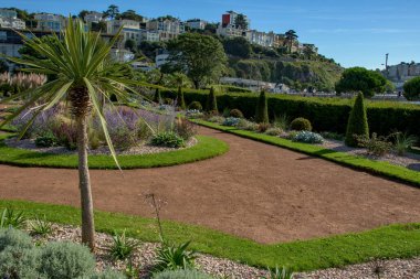 Torquay, UK. 09-17-24. Italian gardens at Torre Abbey Park and meadows. Landmark tourist attraction Tropical palms, Mediterranean plants showcase the English Riviera.  clipart