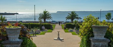 Torquay, İngiltere. 09-17-24. Torre Abbey Park ve Meadows 'daki İtalyan bahçeleri. Tarihi turizm merkezi Tropikal palmiyeler ve Akdeniz bitkileri İngiliz Rivierası 'nı sergiliyor. 