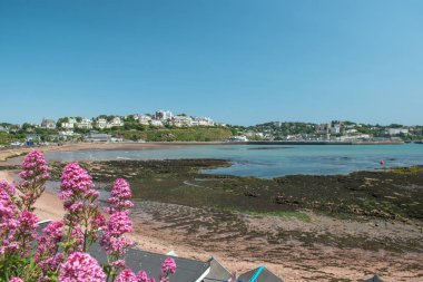 Torquay, Devon, uk. 06-05-23. Torquay limanı Corbyn 'in başından bakıyor. Yumuşak odaklı çiçekler ön planı doldurur. Bu güzel İngiliz kasabasının popüler turistik merkezi.. 