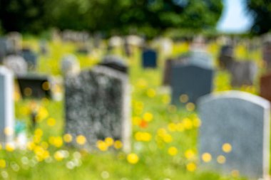 Yumuşak odaklı bir mezarlık görüntüsü. Çerçeveyi mezar taşları, sarı ve kırmızı çiçekler dolduruyor. Son bir dinlenme yeri tasvir eden beton ve yumuşak bir görüntü..