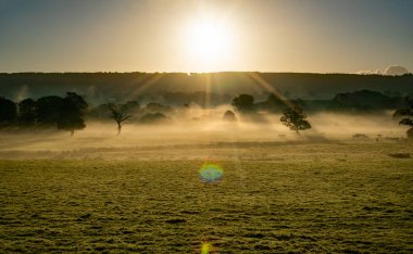 Köy manzaralı resim. Güneşin sisli tarlalarda doğuşunun kırsal görüntüsü. Doymuş renkler ve parlaklık.