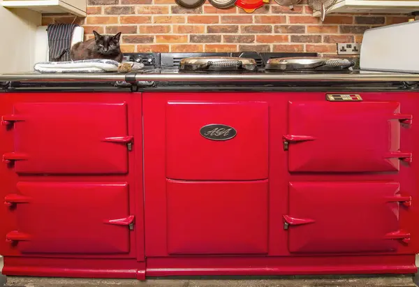 Exeter, Devon, İngiltere. 02-10-24. Aga Range Cooker 'ın ısıtma tabağında bir kediyle kucaklaşması. Köy mutfağı fırını yakın plan. Önünde Aga logosu var. İngiliz çiftlik mutfağında ikonik soba.. 