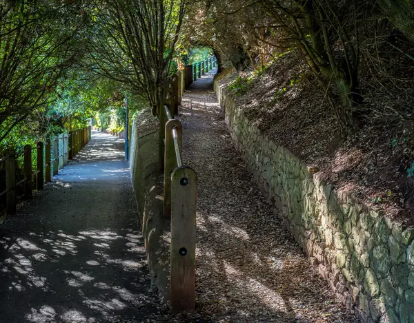 stock image A sunlit path diverges left and right in a pretty rural setting. Country walks and exercise concept image. 