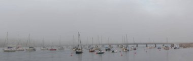 Teignmouth, Devon, İngiltere. 09-06-24. Shaldon Köprüsü, sisli nehir kıyısında teknelerle Teignmouth Panorama 'dan görüldü.. 