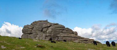 Haytor rock on Dartmoor in England. Panoramic picture showing the granite landmark taken in a Devonshire National park.  clipart