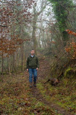 Sisli bir kış gününde güzel bir ormanda yürüyen bir adam. Doğa aşığı ve kırsal kesim imajı. Yürüyüş, yürüyüş ve yürüyüş. 
