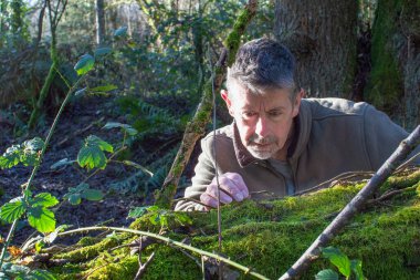 Doğa ve ormanlık alanda devrilmiş bir ağaçtaki parlak yeşil yosunlara bakan bir adamın görüntüsü. Mantar ve botanik resim. 